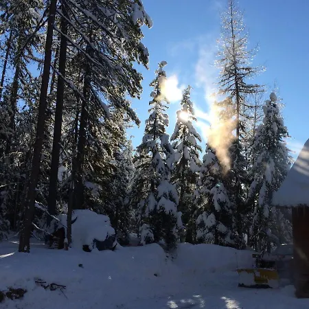 The Ridge At Glacier - Luxury Cabins Coram Exterior photo